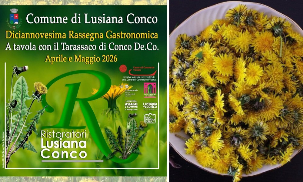 A tavola con il Tarassaco di Conco 2026